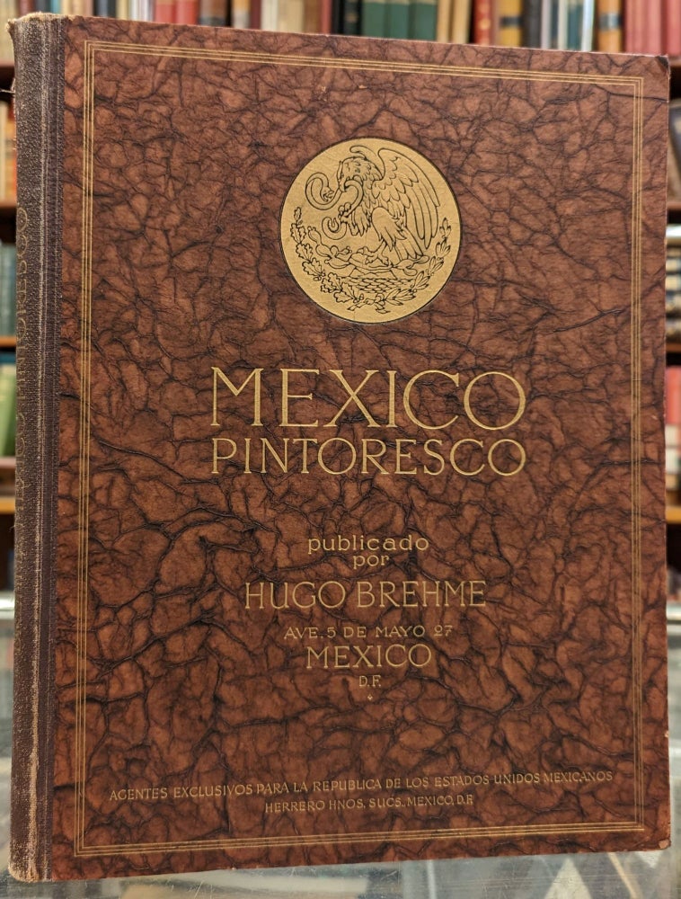 Item #100844 Mexico Pintoresco. Hugo Brehme.