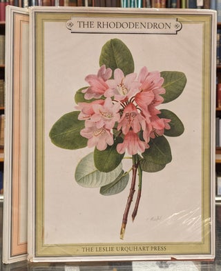 Item #103106 The Rhododendron, 2 vol. Beryl Leslie Urquhart