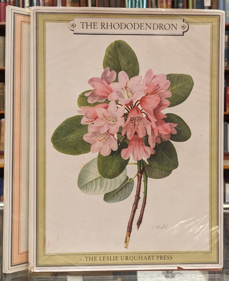 Item #103106 The Rhododendron, 2 vol. Beryl Leslie Urquhart.