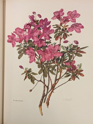 The Rhododendron, 2 vol.
