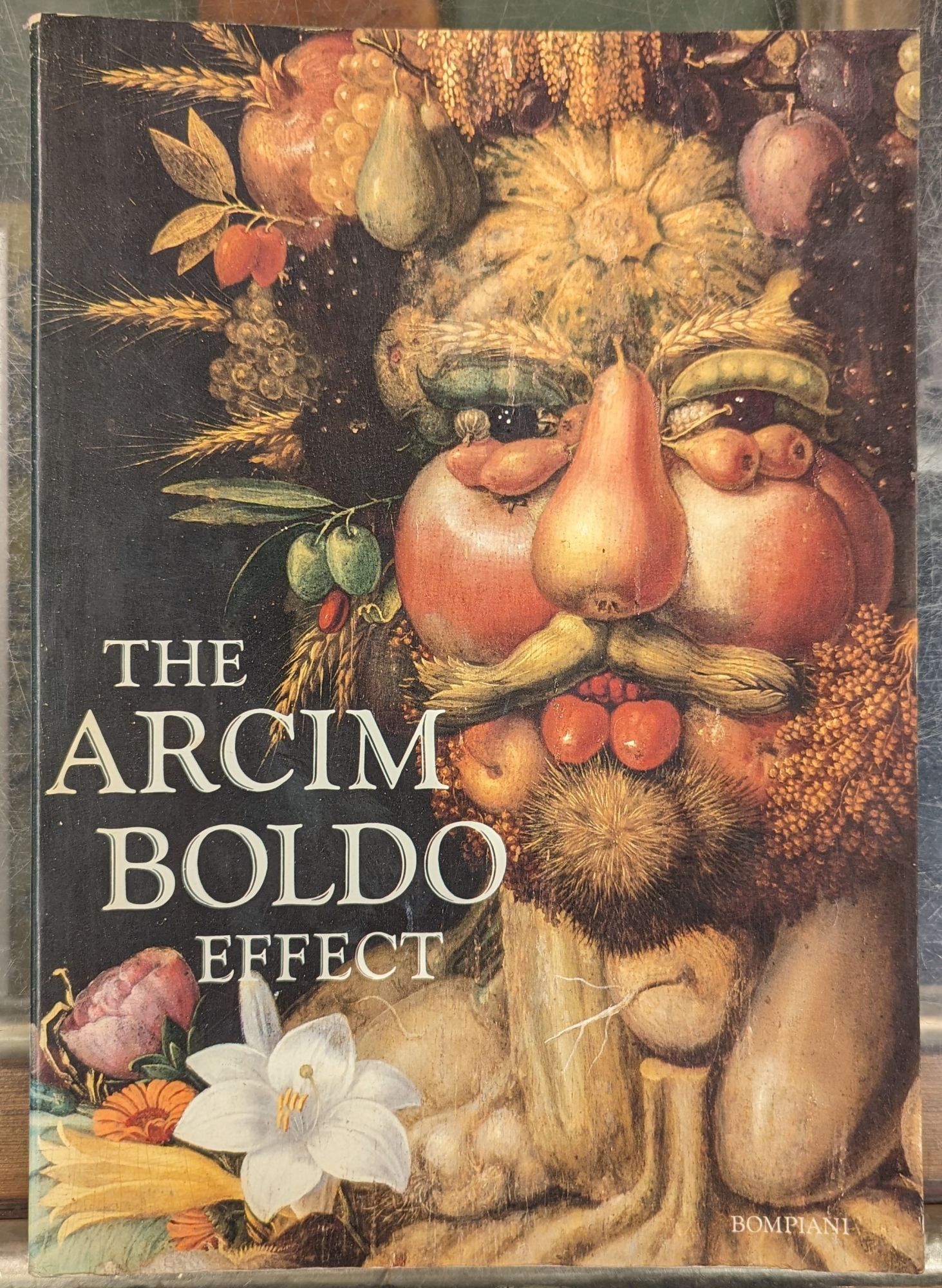 Arcimboldo: 1526-1593 画集 Arcimboldo: 1526-1593 画集 水彩画 ジュゼッペ・アルチンボルディ