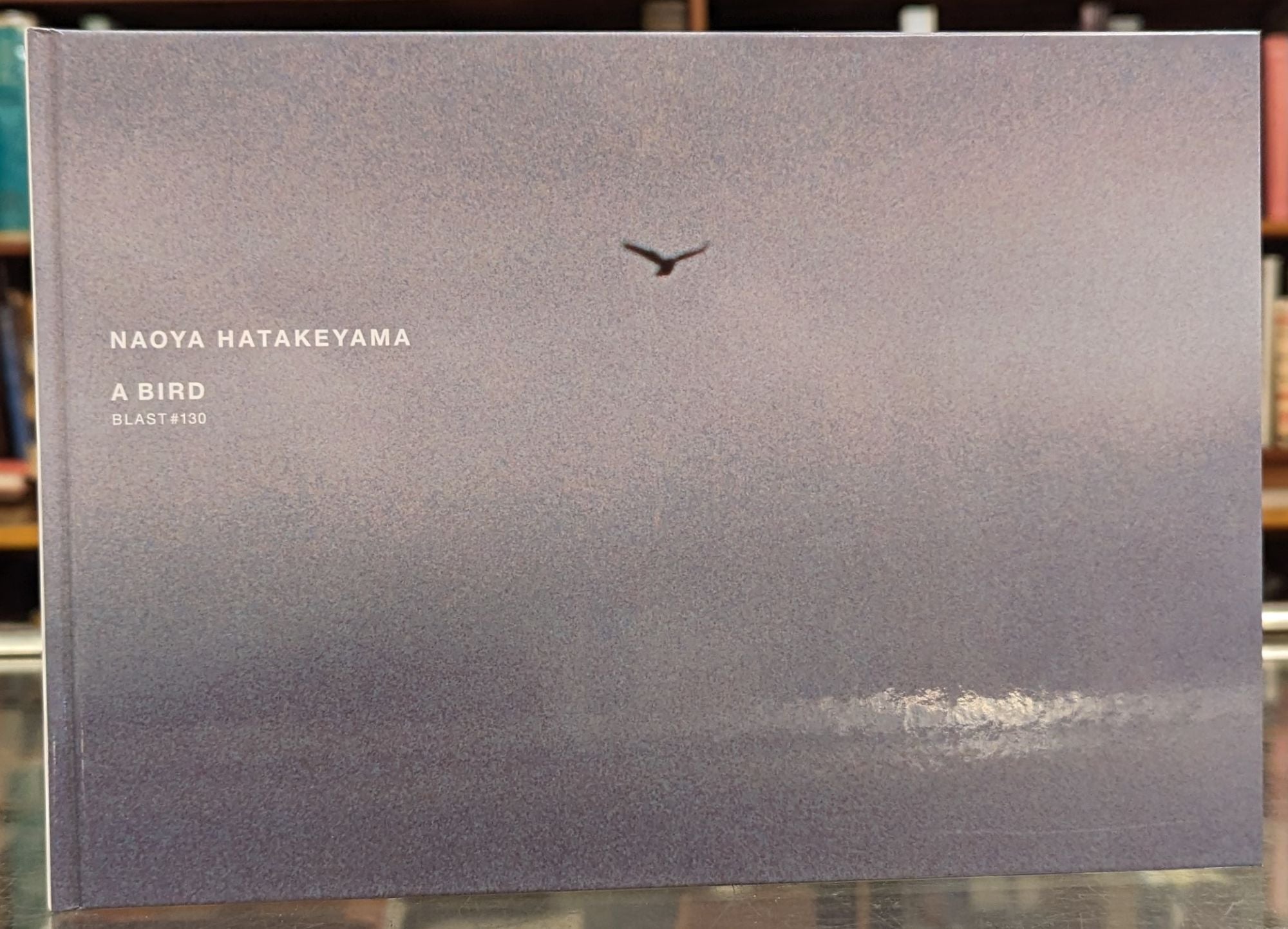 A Bird Blast #130 by Naoya Hatakeyama on Moe's Books