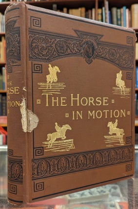 Item #104981 The Horse in Motion. J D. B. Stillman