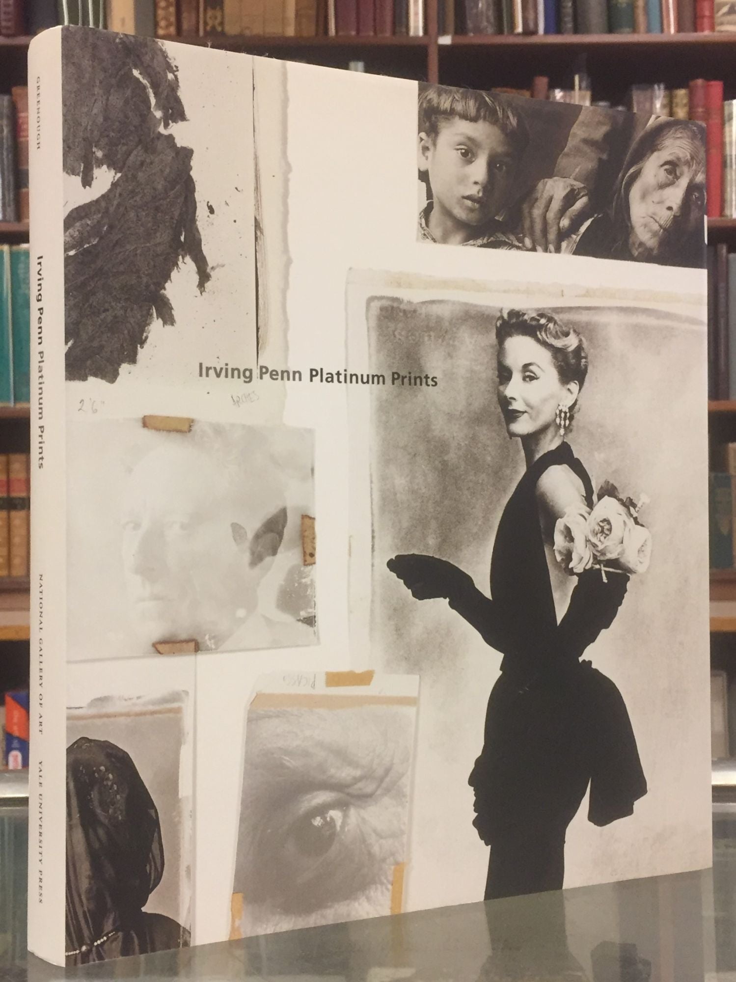 Irving Penn: Platinum Prints by Sarah Greenough Irving Penn on Moe's Books