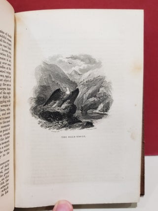 American Ornithology; or, The Natural History of the Birds of the United States, 4 Vols.
