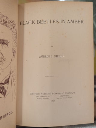 Black Beetles in Amber
