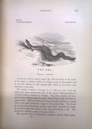Frank Forester's Fish and Fishing of the United States and British Provinces of North America. Illustrated From Nature.