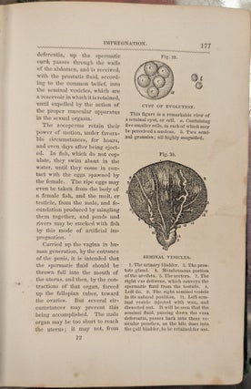 Medical, Matrimonial, and Scientific Expositor; Giving the Most Important Information Upon Every Subject Relating to Man and Woman, Rev. ed.