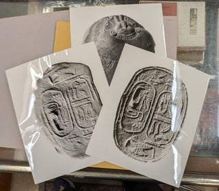A Catalogue of Egyptian Scarabs, Scaraboids, Seals and Amulets in the Palestine Archaeological Museum