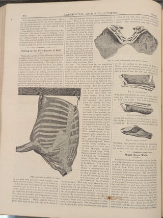 The American Agriculturist: For the Farm, Garden, and Household, vol. 28