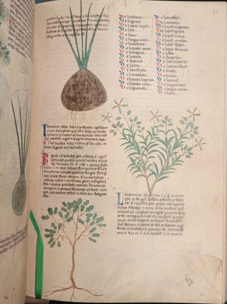Tractatus de Herbis, British Library Egerton MS 747, 2 vol.