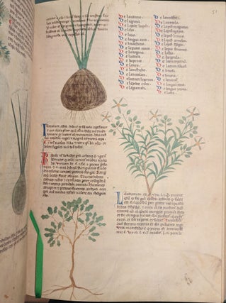 Tractatus de Herbis, British Library Egerton MS 747, 2 vol.