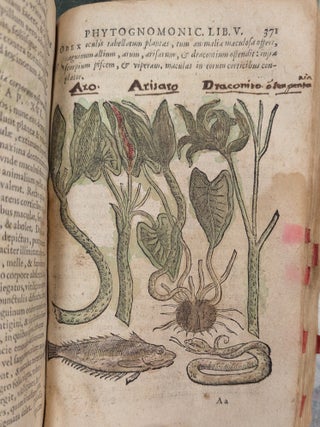 Phytognomonica