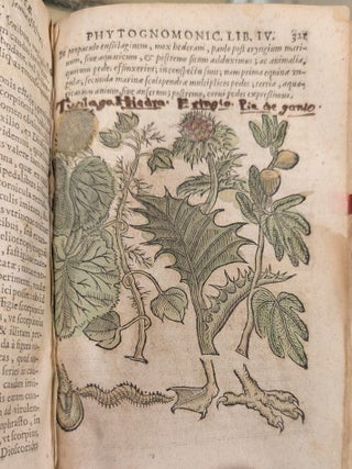 Phytognomonica