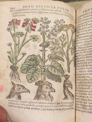 Phytognomonica