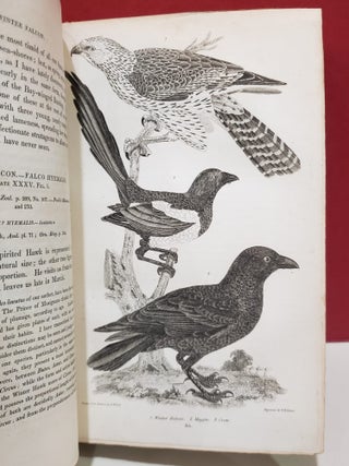American Ornithology; or, The Natural History of the Birds of the United States, 3 Vols.