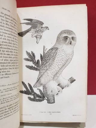 American Ornithology; or, The Natural History of the Birds of the United States, 3 Vols.