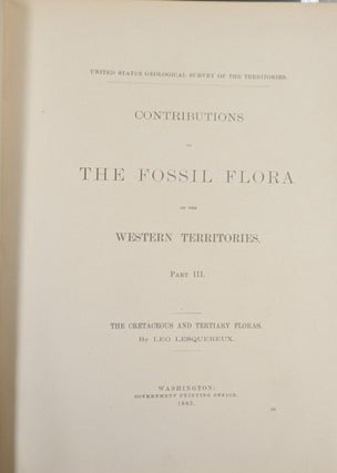 Contributions to the Fossil Flora of the Western Territories, Part III: The Cretaceous and Tertiary Floras (Department of the Interior Report of the United States Geological Survey of the Territories, Vol. VIII")
