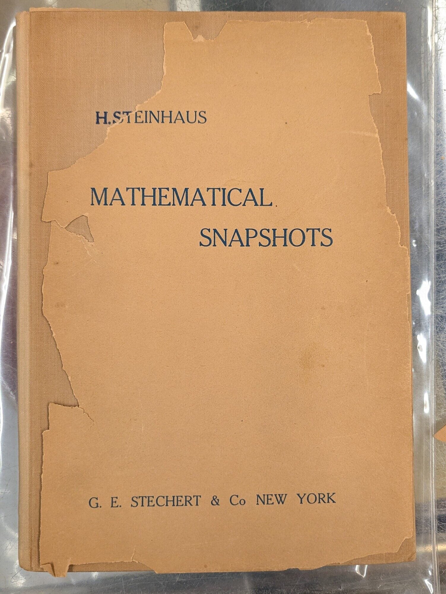 Mathematical Snapshots | H. Steinhaus