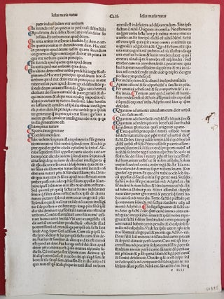 Medieval Incunable Leaf from the Arbor vitae crucifixae Jesu