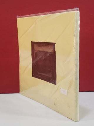 Doris Salcedo