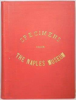 Item #50037 Specimens from the Naples Museum. Domenico Monaco, carefully revised descriptive...