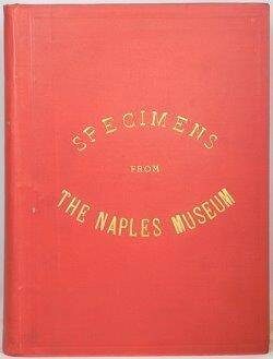 Item #50037 Specimens from the Naples Museum. Domenico Monaco, carefully revised descriptive...