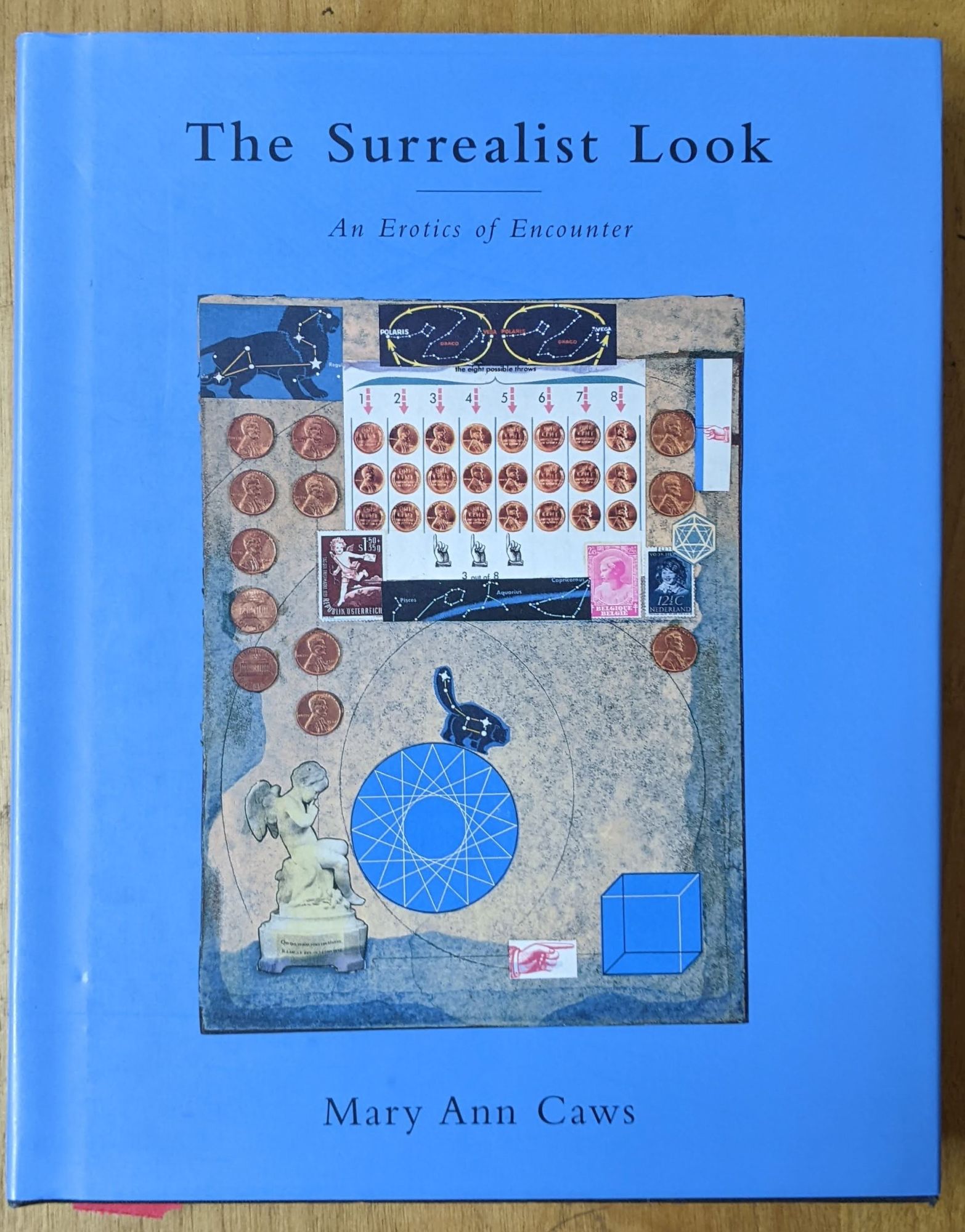 The Surrealist Look: An Erotics of Encounter | Mary Ann Caws