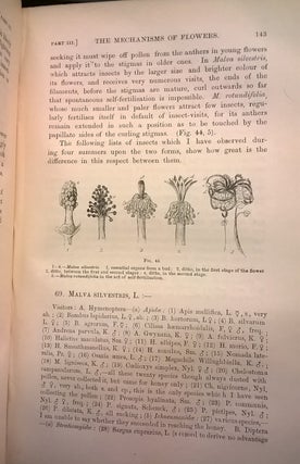The Fertilisation of Flowers