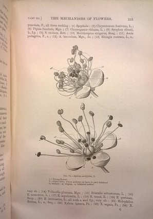 The Fertilisation of Flowers