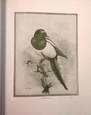 The Birds of California. 4 vol.