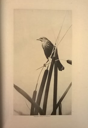 The Birds of California. 4 vol.