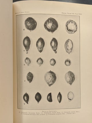 Memoirs of the Bernice Pauahi Bishop Museum of Polynesian Ethnology and Natural History, Vol. 8