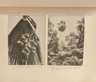 Memoirs of the Bernice Pauahi Bishop Museum of Polynesian Ethnology and Natural History, Vol. 8