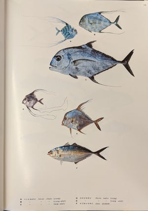 Coastal Fishes of Southern Japan