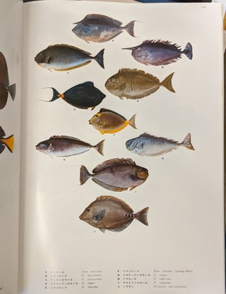 Coastal Fishes of Southern Japan