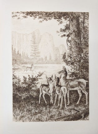 Picturesque California, and The Region Wwest of the Rocky Mountains, from Alaska to Mexico, 2 vol.