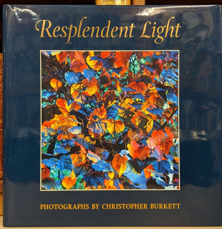 Item #91222 Resplendent Light. Christopher Burkett.