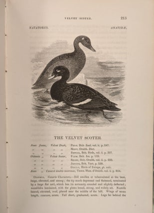A History of British Birds, 3 vol.