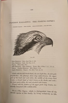 A History of British Birds, Indigenous and Migratory, 5 vol.