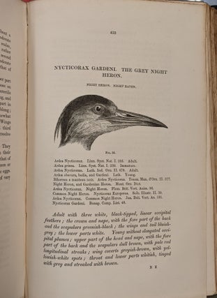 A History of British Birds, Indigenous and Migratory, 5 vol.