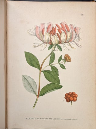 Billeder af Nordens Flora, Vols. I-II