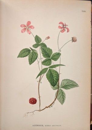 Billeder af Nordens Flora, Vols. I-II