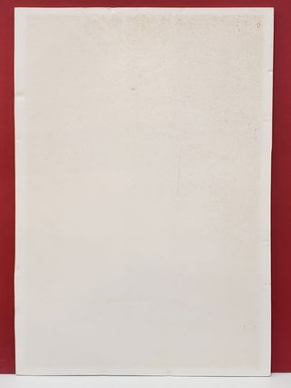 Alice Broadside Foamcore