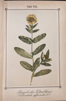 Pflanzen - Atlas: Sob. Kneipp's "Wasser-Kur", enthaltend die Beschreibung und Naturgetreue bildiche Darstellung, 3rd ed.