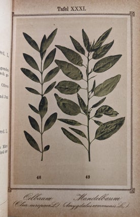 Pflanzen - Atlas: Sob. Kneipp's "Wasser-Kur", enthaltend die Beschreibung und Naturgetreue bildiche Darstellung, 3rd ed.