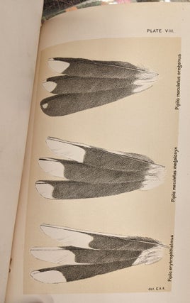 Evolution of the Colors of North American Land Birds (Occasional Papers of the California Academy of Sciences III)