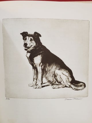 Real Tales of Real Dogs