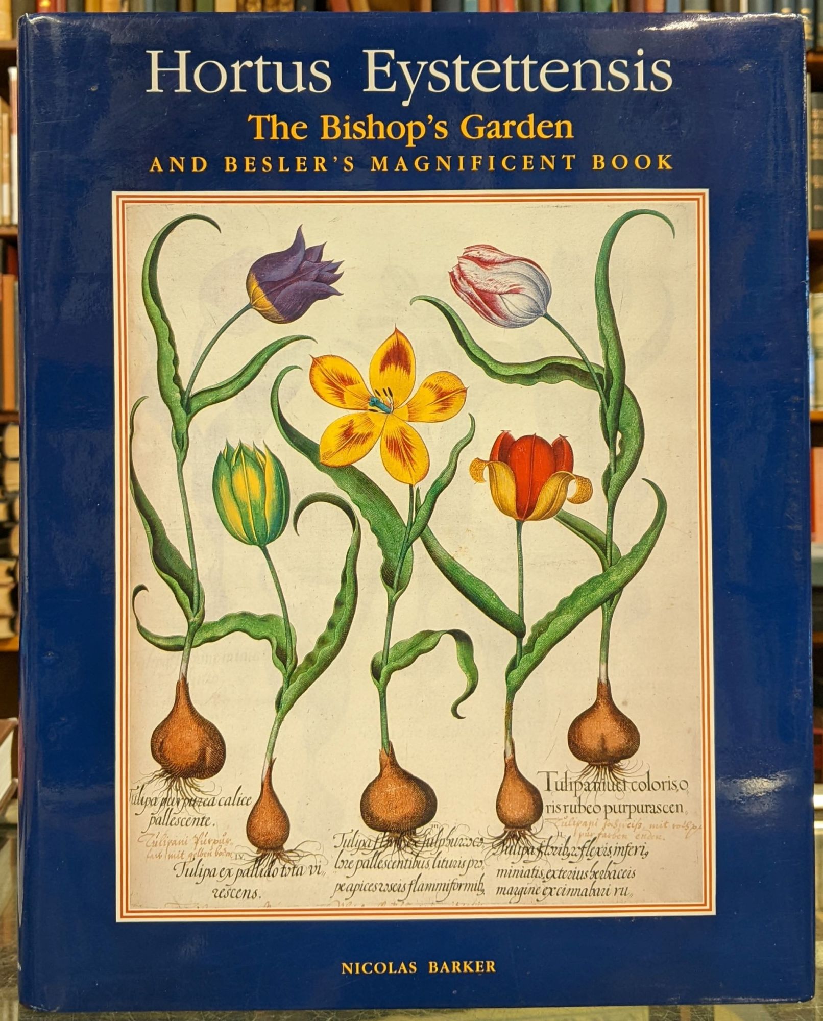 Hortus Eystetensis The Bishop s Garden and Besler s Magnificent Book by Nicolas Barker on Moe s Books