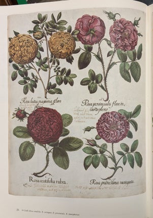 Hortus Eystetensis: The Bishop's Garden and Besler's Magnificent Book